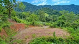 170023 – Lot 23 Caracara Ridge 06