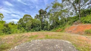 170023 – Lot 23 Caracara Ridge 07