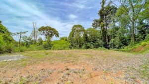 170023 – Lot 23 Caracara Ridge 08