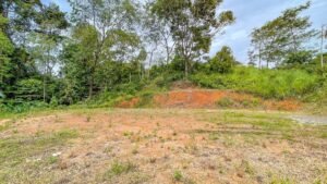 170023 – Lot 23 Caracara Ridge 09