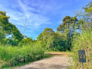 170023 – Lot 23 Caracara Ridge 10