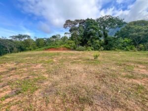 170029 – Lot 29 Caracara Ridge 01