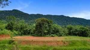 170029 – Lot 29 Caracara Ridge 02