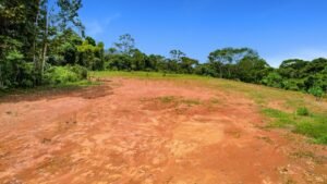 170029 – Lot 29 Caracara Ridge 03