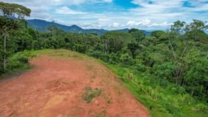 170029 – Lot 29 Caracara Ridge 04