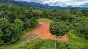 170029 – Lot 29 Caracara Ridge 05