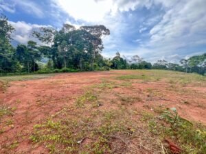 170029 – Lot 29 Caracara Ridge 08