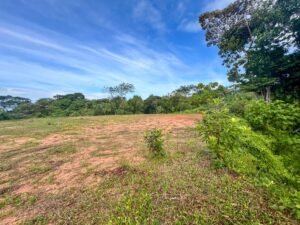 170029 – Lot 29 Caracara Ridge 09