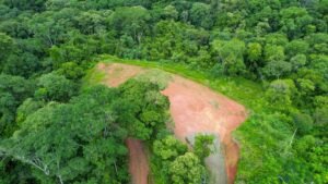 170029 – Lot 29 Caracara Ridge 12