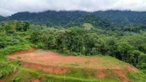 170029 – Lot 29 Caracara Ridge 13