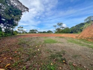 170029 – Lot 29 Caracara Ridge 14