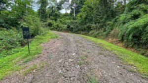 170029 – Lot 29 Caracara Ridge 15