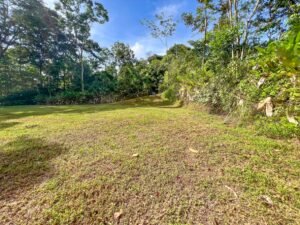 170041 – Lot 41 Caracara Ridge 05