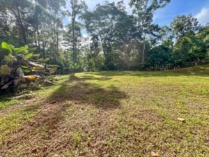 170041 – Lot 41 Caracara Ridge 06