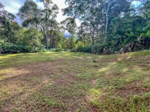 170041 – Lot 41 Caracara Ridge 07