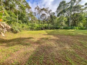 170041 – Lot 41 Caracara Ridge 08
