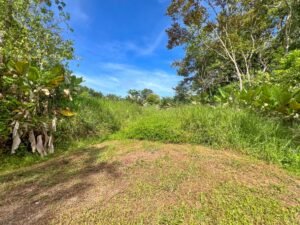 170041 – Lot 41 Caracara Ridge 09