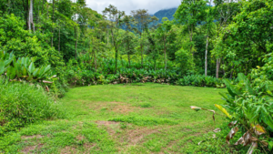 170041 – Lot 41 Caracara Ridge 10
