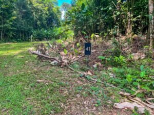 170041 – Lot 41 Caracara Ridge 13