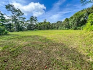 170042 – Lot 42 Caracara Ridge 01