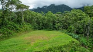 170042 – Lot 42 Caracara Ridge 02