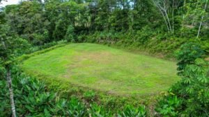 170042 – Lot 42 Caracara Ridge 03