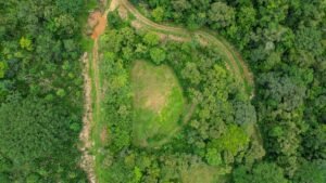 170042 – Lot 42 Caracara Ridge 04