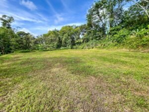 170042 – Lot 42 Caracara Ridge 05