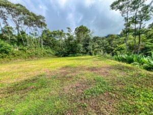 170042 – Lot 42 Caracara Ridge 06