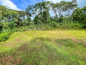170042 – Lot 42 Caracara Ridge 07