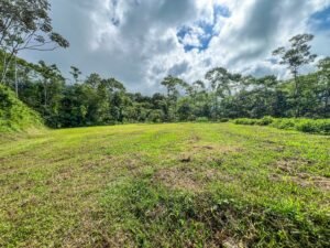 170042 – Lot 42 Caracara Ridge 08