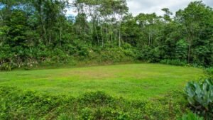 170042 – Lot 42 Caracara Ridge 10