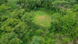 170042 – Lot 42 Caracara Ridge 11