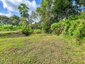 170042 – Lot 42 Caracara Ridge 13