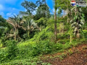 1investment land for sale in costa rica (20)