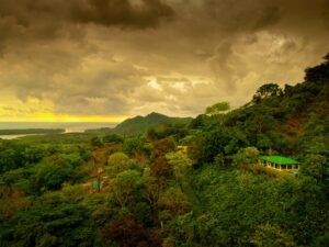 2-Bedroom Ocean View Home in Tres Ríos with Panoramic Pacific Views (14)