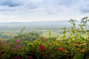2-Bedroom Ocean View Home in Tres Ríos with Panoramic Pacific Views (9)