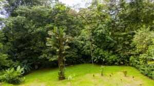2-Bedroom Ojochal Home with Pool, Creek & 1.6 Acres – 1 (29)