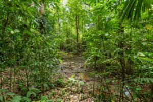 2-Bedroom Ojochal Home with Pool, Creek & 1.6 Acres – 1 (30)