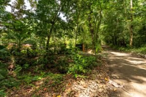 2-Bedroom Ojochal Home with Pool, Creek & 1.6 Acres – 1 (31)