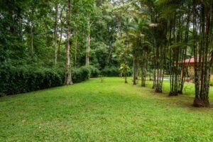 2-Bedroom Ojochal Home with Pool, Creek & 1.6 Acres – 1 (37)
