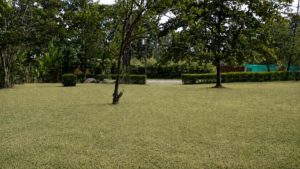 2,995 m² property for sale in Ojochal Costa Rica (26)