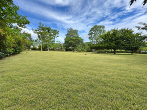 2,995 m² property for sale in Ojochal Costa Rica (40)