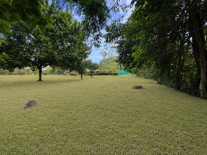 2,995 m² property for sale in Ojochal Costa Rica (43)