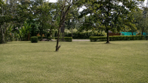 2,995 m² property for sale in Ojochal Costa Rica (44)