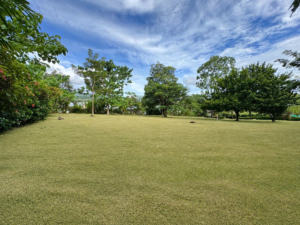 2,995 m² property for sale in Ojochal Costa Rica (45)