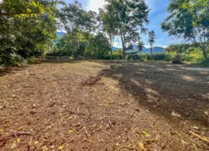 Caracara Ridge Lot #5 Mountain View Land in Ojochal (4)