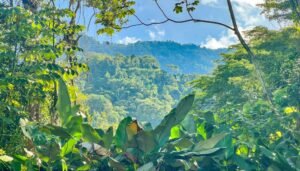 Caracara Ridge Lot #5 Mountain View Land in Ojochal (9)