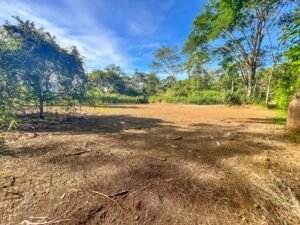 Caracara Ridge Lot #6 Mountain View Lot in Ojochal (13)