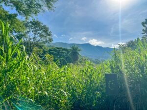 Caracara Ridge Lot #6 Mountain View Lot in Ojochal (5)